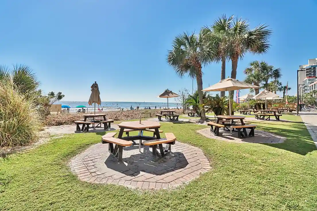 picnic area