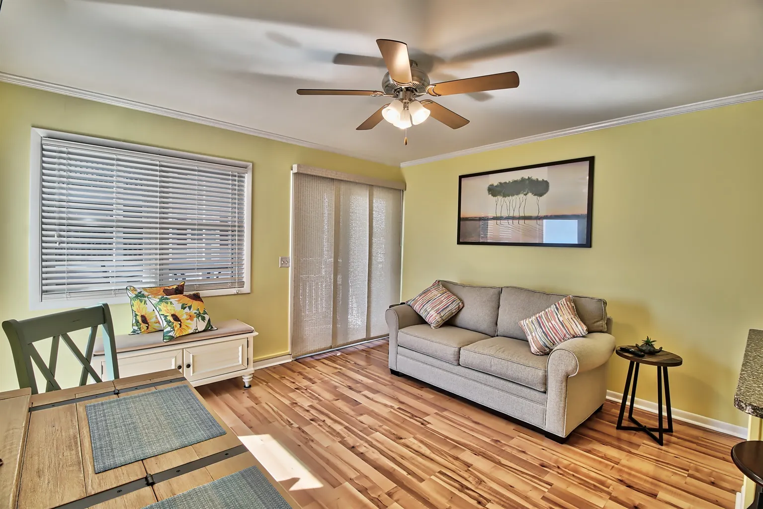 ceiling fan
