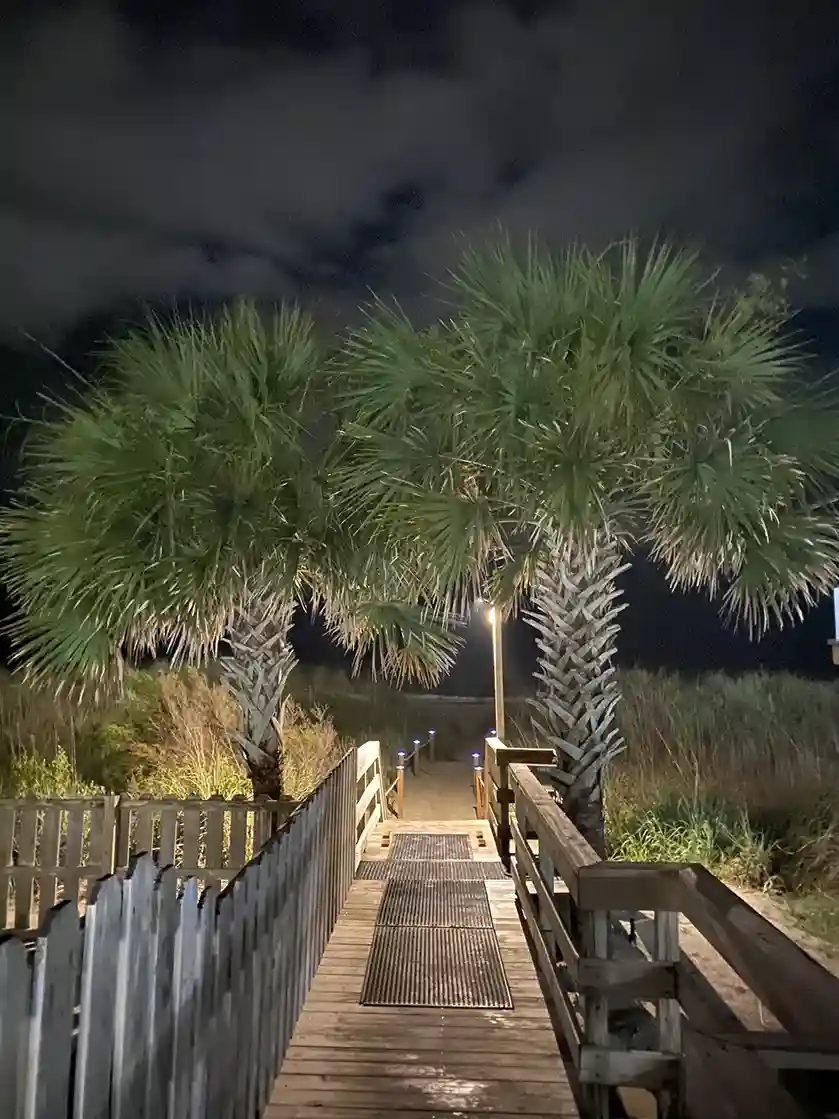 night walk on the beach