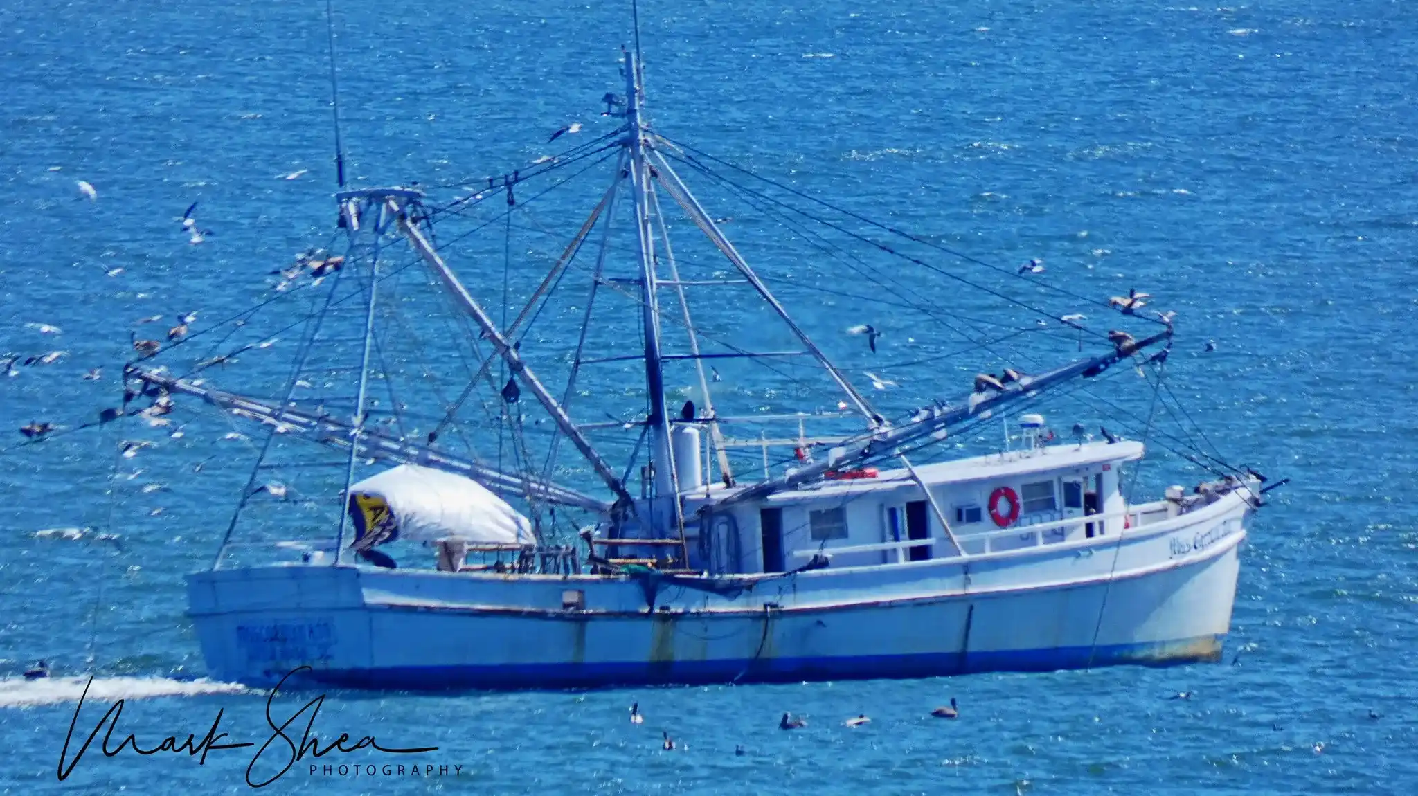 shrimp boat going by