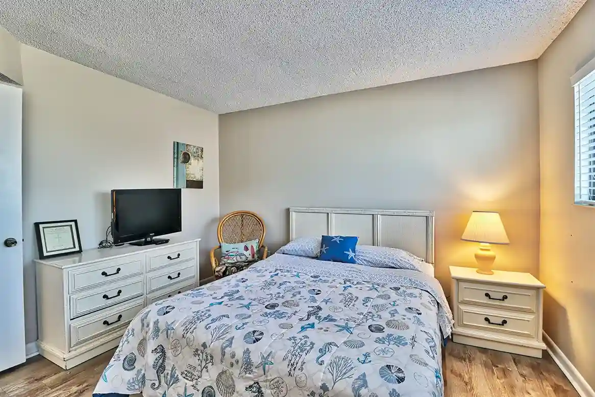 queen bed and TV